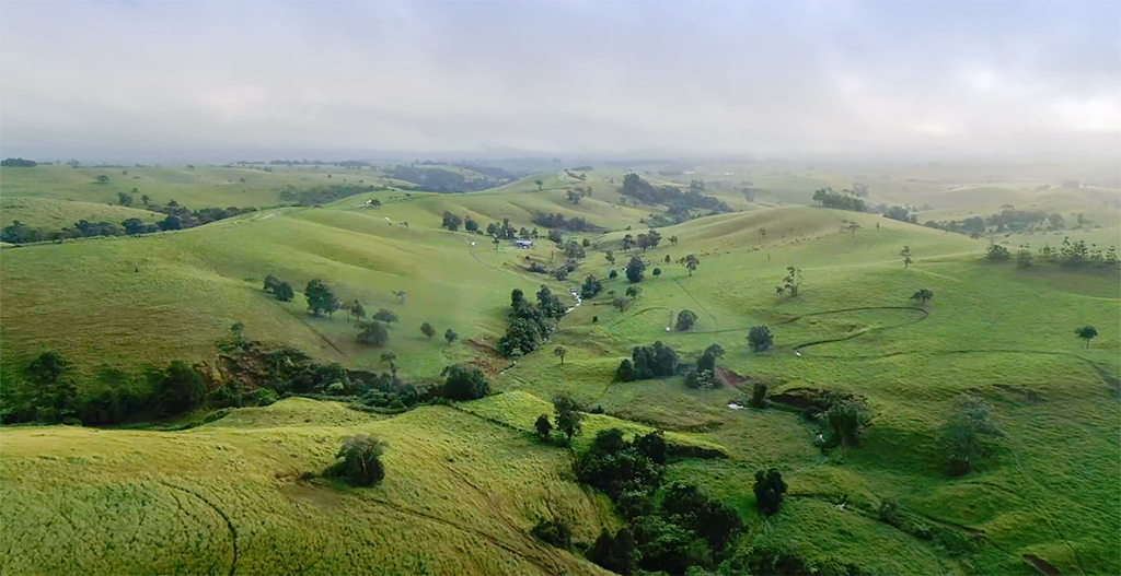 サステナビリティ目標